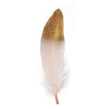 White Feather - Gold Tip